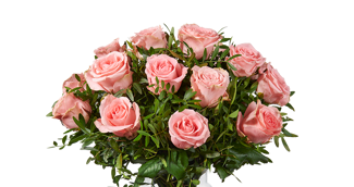 Rozen